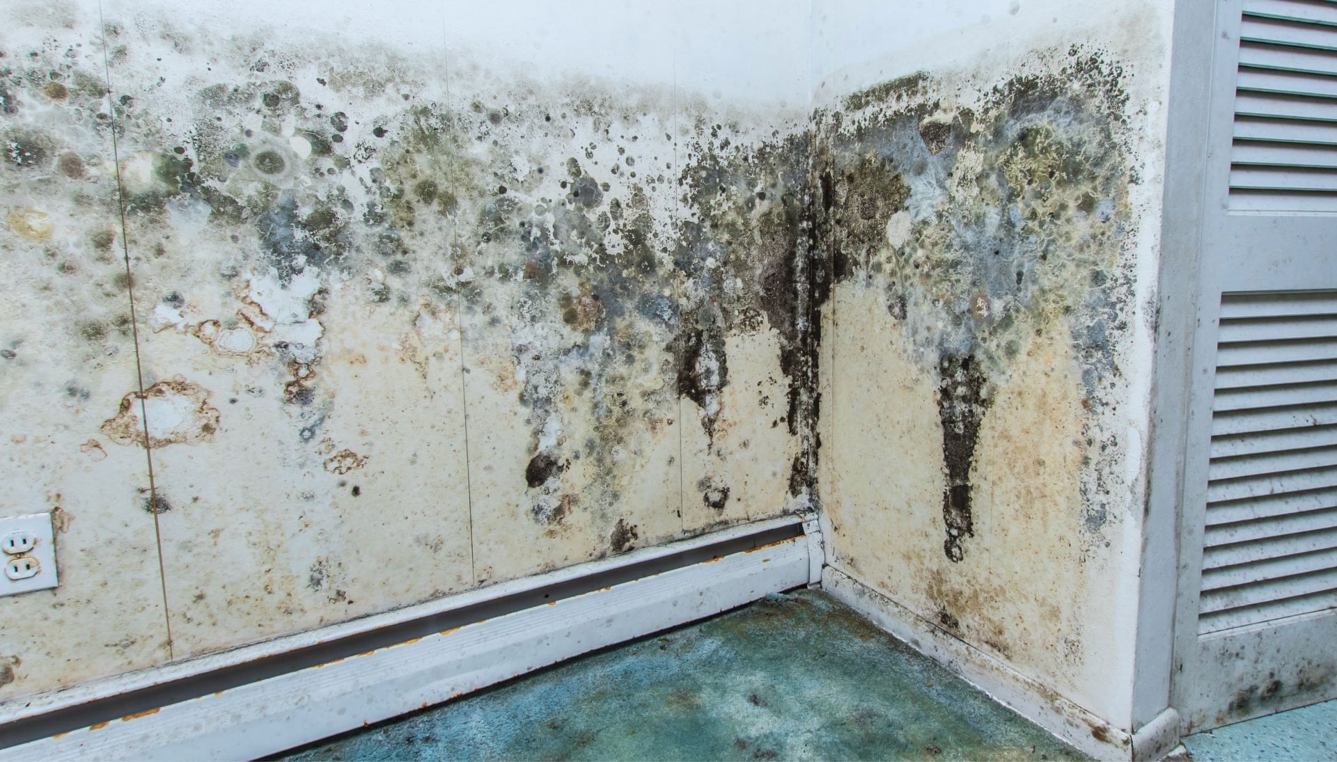 Professional mold removal, odor control, and water damage restoration service in Topeka, Kansas.