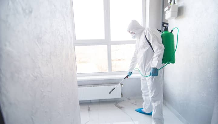 We provide the highest-quality mold inspection, testing, and removal services in the Topeka, Kansas area.